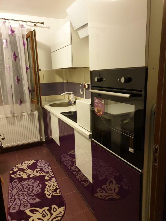 Apartament Oana'S Home Orszowa Zewnętrze zdjęcie