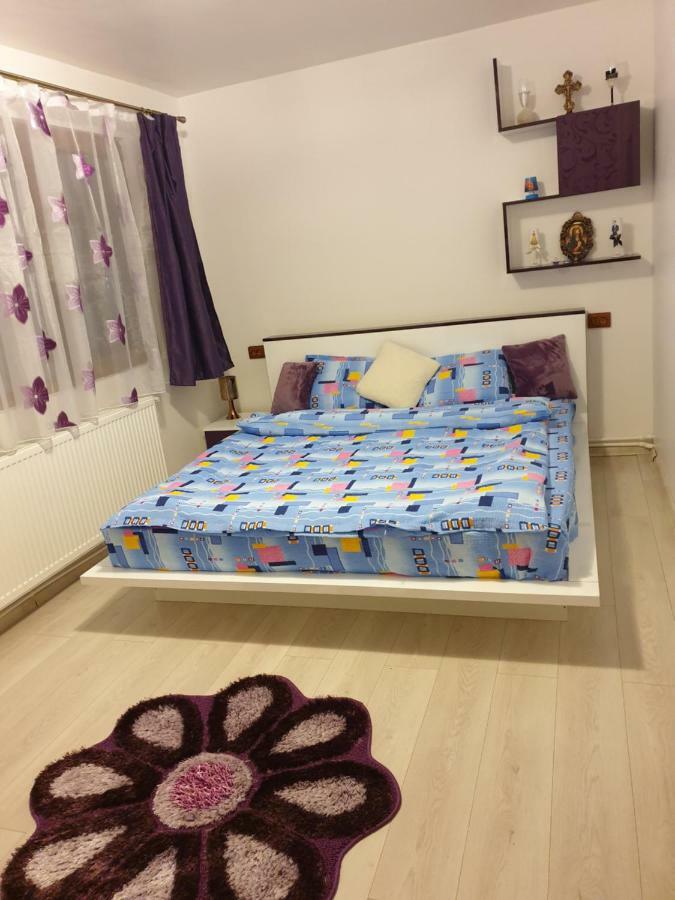 Apartament Oana'S Home Orszowa Zewnętrze zdjęcie